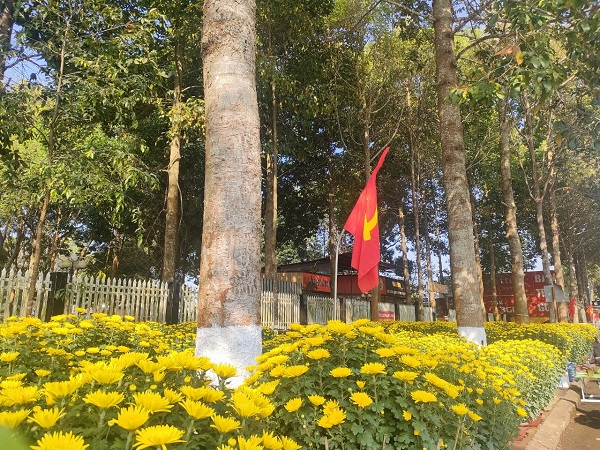 ANH TET 15